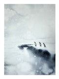 Antarktis Fine Art Print