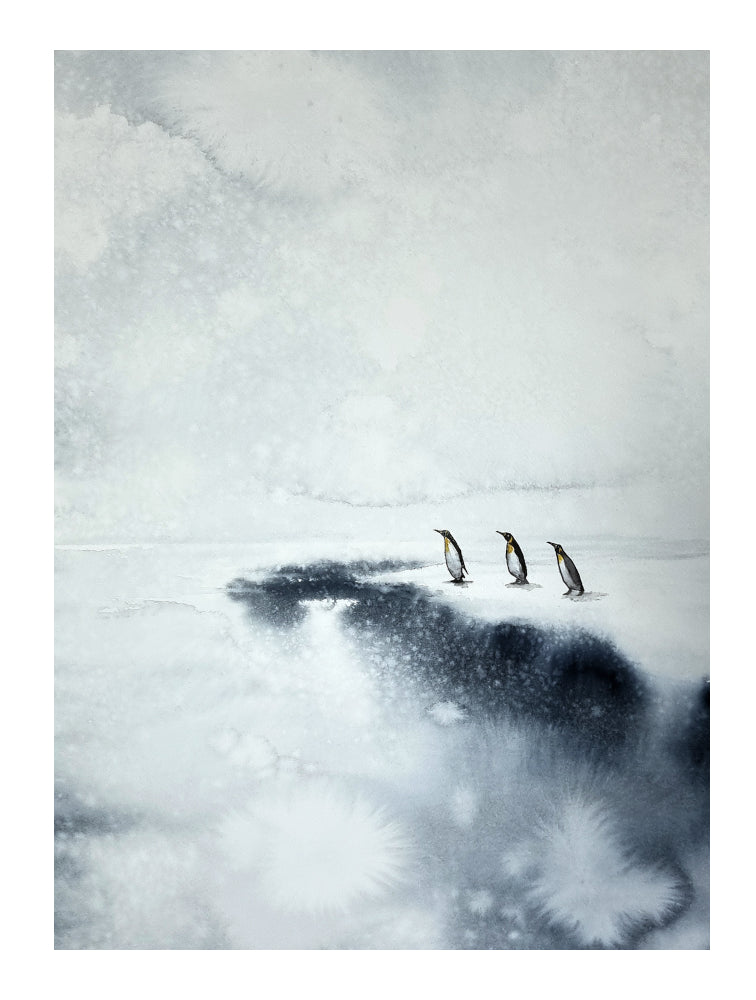 Antarktis Fine Art Print