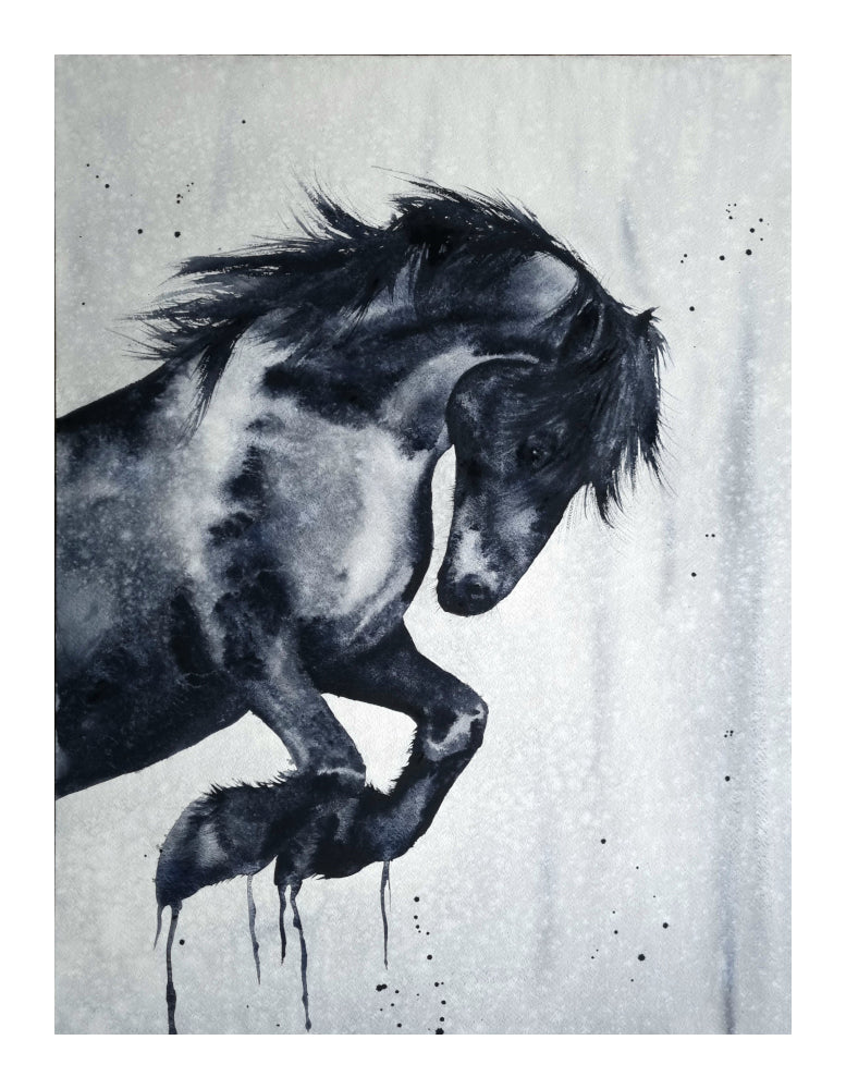 Häst Fine Art Print