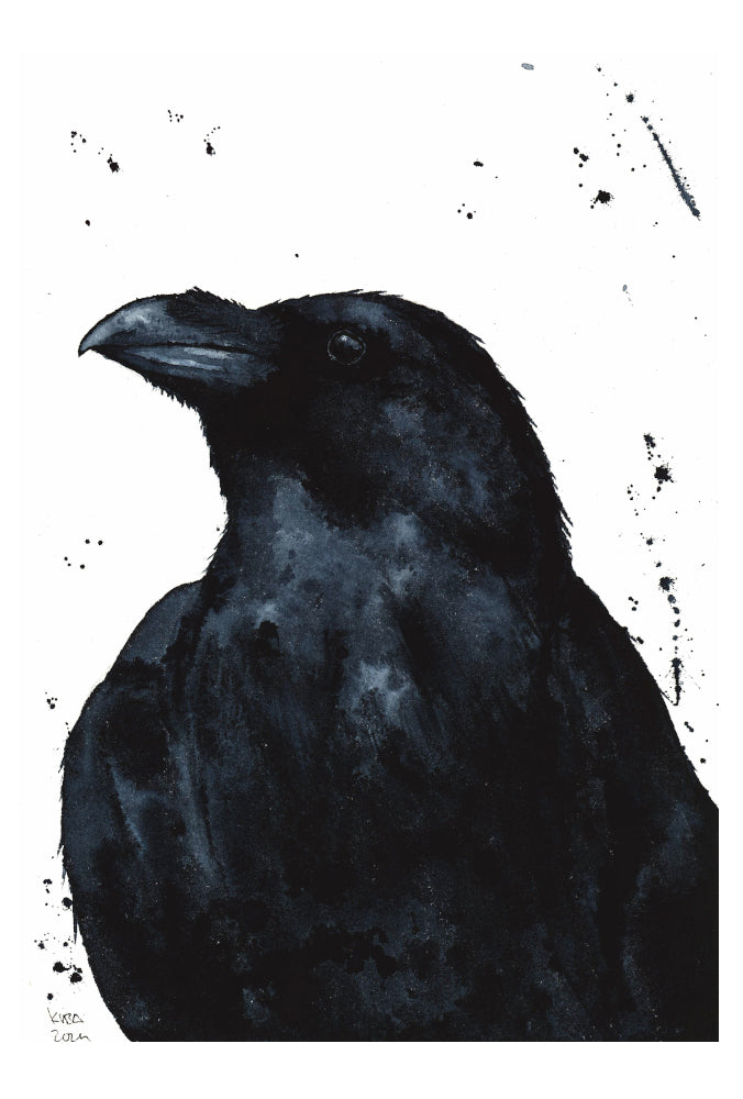 Stolt Korp Fine Art Print