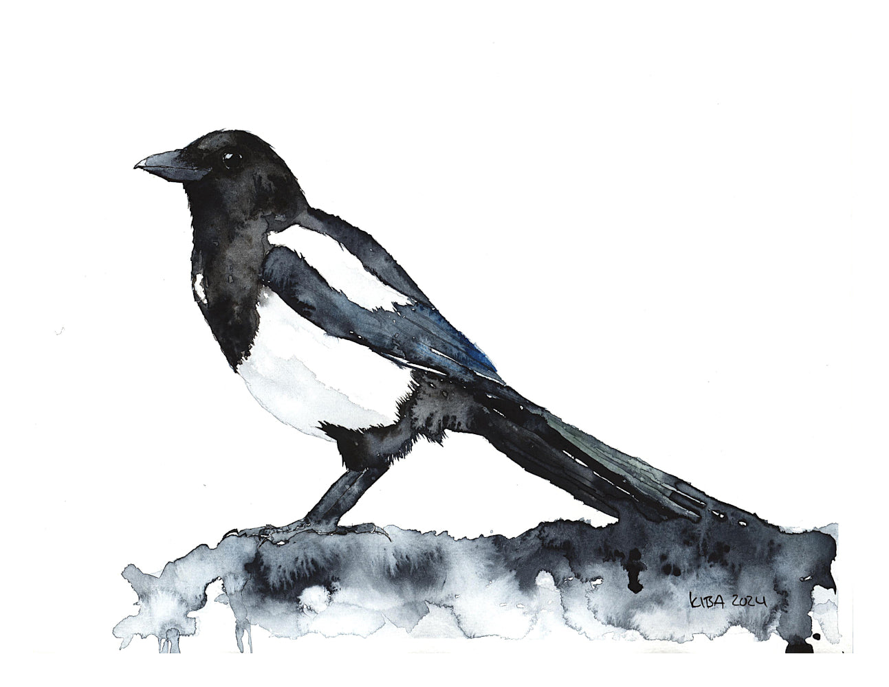 Skata Fine Art Print