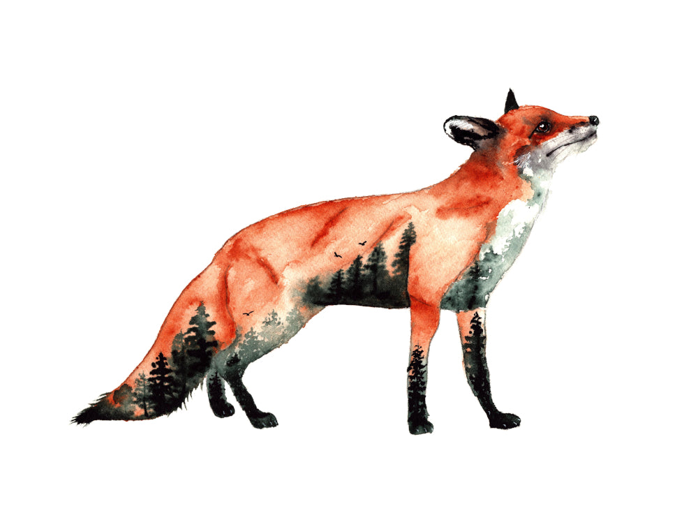 Skogsräv Fine Art Print